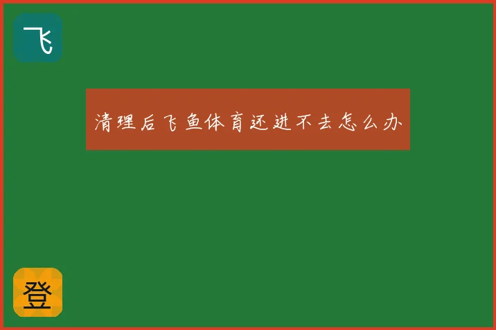 清理后飞鱼体育还进不去怎么办