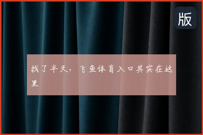 找了半天，飞鱼体育入口其实在这里