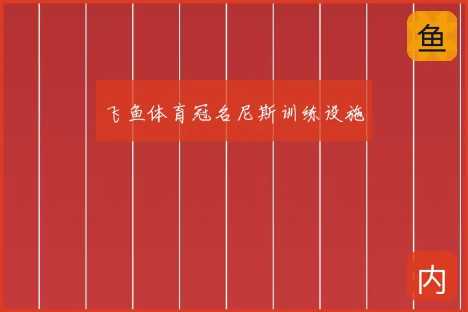 飞鱼体育冠名尼斯训练设施